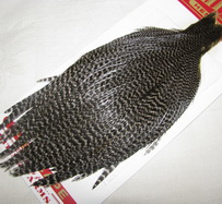 Hen cape Wet and Dry grizzly Whiting